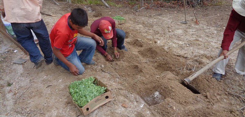 Skolehave Building Community- Guatemala